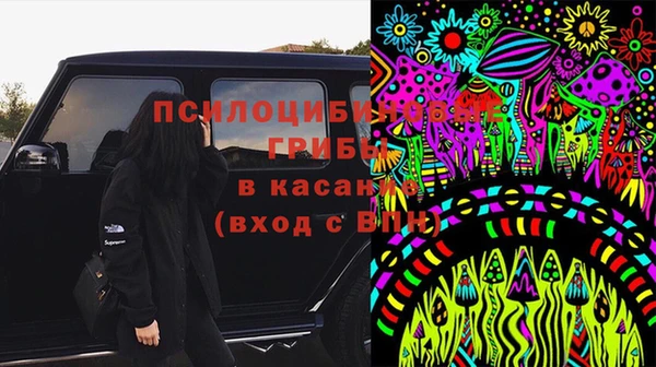мдма Белокуриха