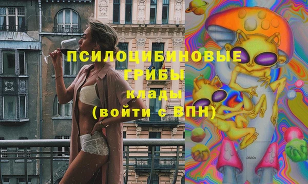 прущие крисы Белоозёрский