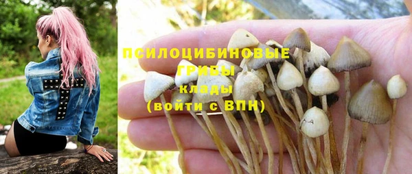не бодяженный Алексин