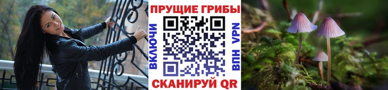 Галлюциногенные грибы Magic Shrooms  блэк спрут ссылки  Новочебоксарск 