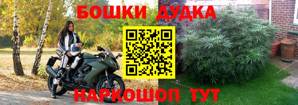 Каннабис марихуана  Бошки Шишки SATIVA & INDICA  Новочебоксарск  Вход с VPN  Марихуана план 